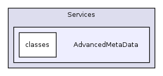 Services/AdvancedMetaData/