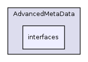 Services/AdvancedMetaData/interfaces/