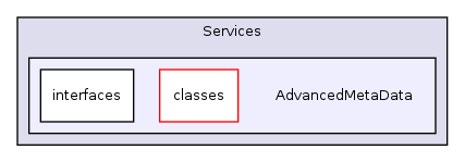 Services/AdvancedMetaData/