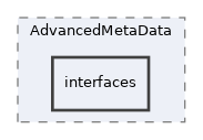 Services/AdvancedMetaData/interfaces